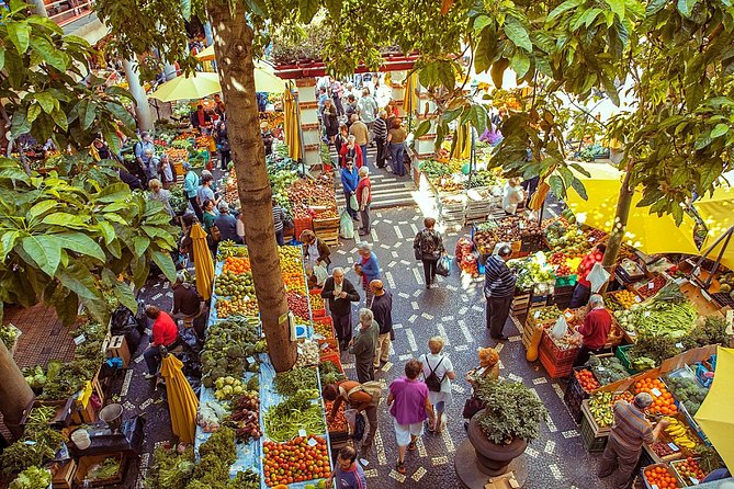 Madeira Wine Tasting and Funchal City Tour