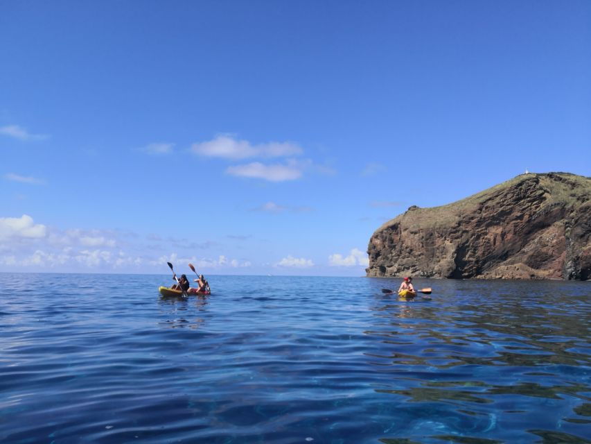 Madeiras Marine Reserve: Kayak & Snorkelling Trip - Good To Know