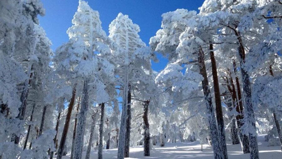 Madrid: 4-Hour Snowshoe Hiking