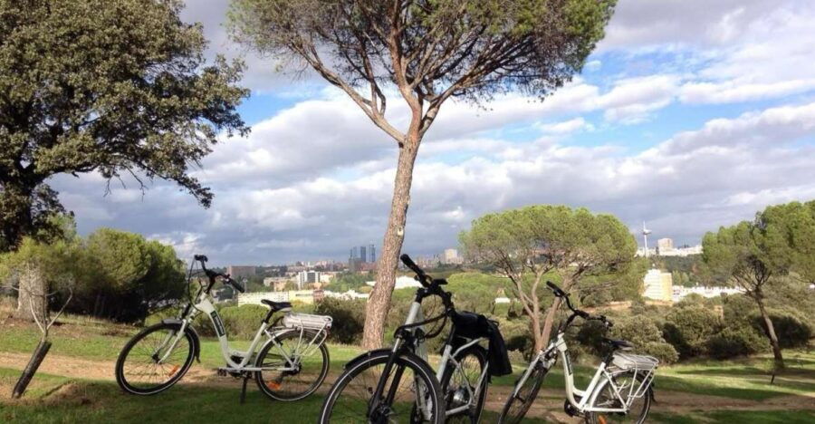 Madrid'S River Side & Casa De Campo Electric Bike Tour - Good To Know