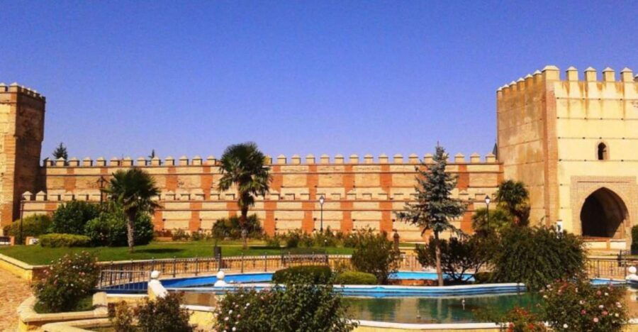 Madrigal De Las Altas Torres: Isabel La Catolica Private Tour - Good To Know