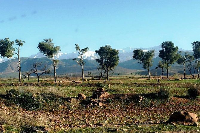 Magic Atlas Mountains Day Trip From Marrakech - Why Visit the Atlas Mountains?