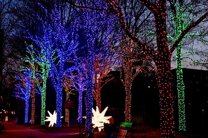 Magical Christmas Walking Tour in Atlanta - Good To Know