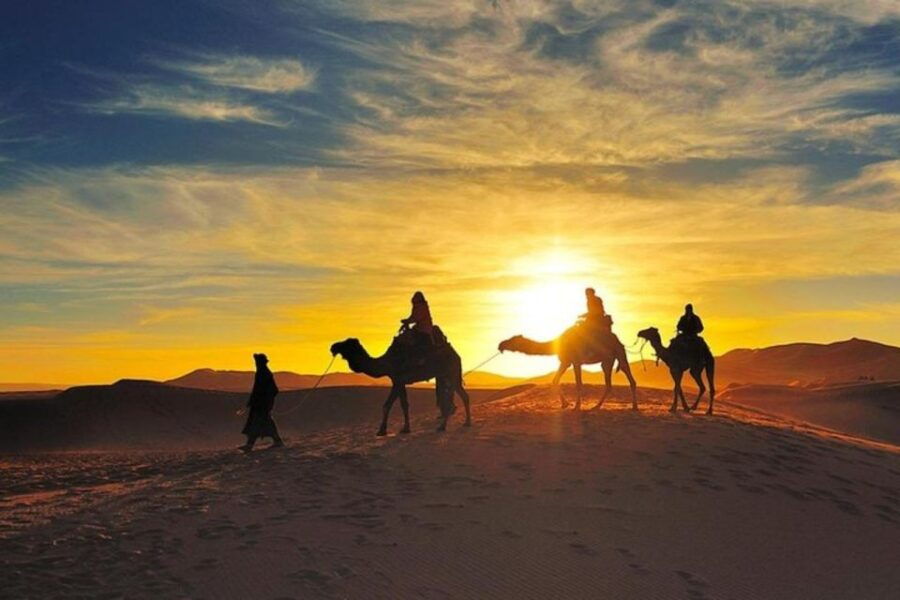 Magical Dinner Under Agafay Desert Stars & Sunset Camel Ride - Good To Know