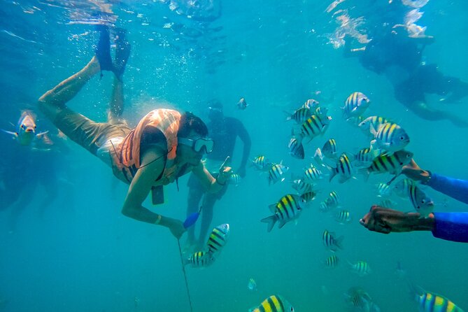 Magical Full-Day Tour Through the Mangroves and the Beach in Isla De Barú - Good To Know