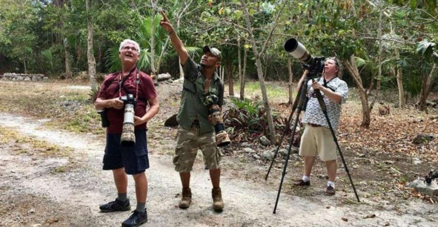 Mahahual: Costa Maya Birdwatching Experience