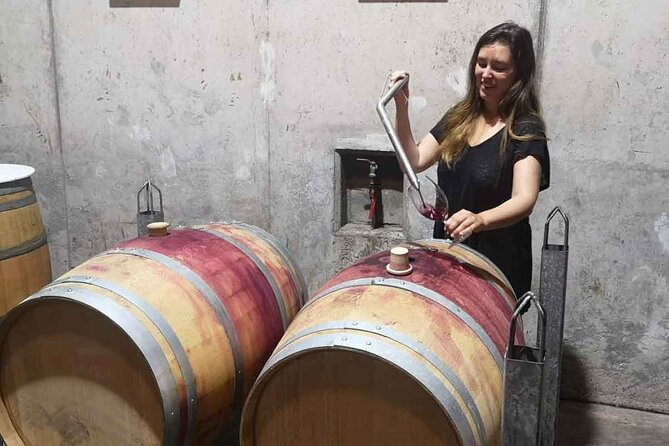 Maipo Valley Boutique Wine Tour: Haras De Pirque Perez Cruz - Good To Know