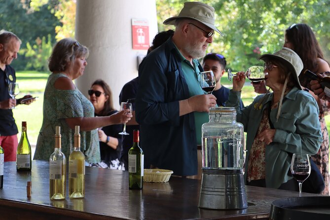 Maipo Valley Top Wineries Private Tours and Tastings From Santiago - Winery Selection and Itinerary