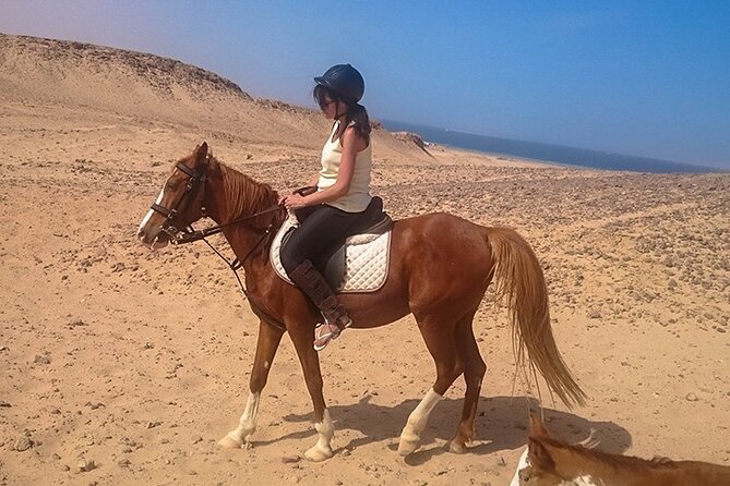 Makadi Bay Horse Ride Tour - Good To Know