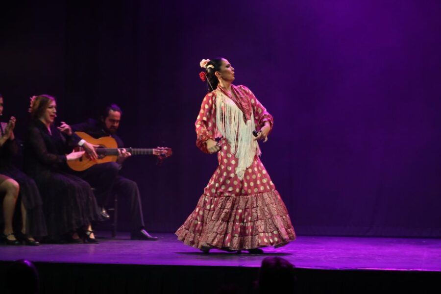 Malaga: Theatro Club Málaga Live Flamenco Show Entry Ticket