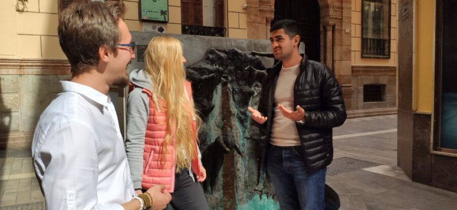 Malaga: Wine Guided Tour - Good To Know