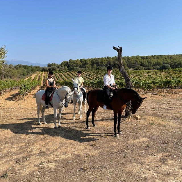 Mallorca: Activity With Horses, Antique Mallorca - Good To Know