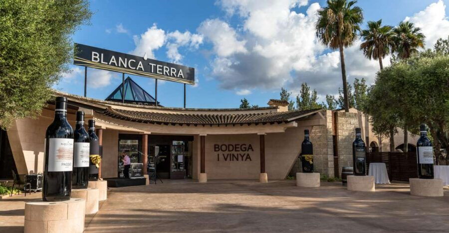 Mallorca: Blanca Terra Bodega Ticket - Optional Wine Tasting - Good To Know