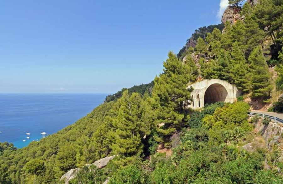 Mallorca: Formula Car Tour - Good To Know