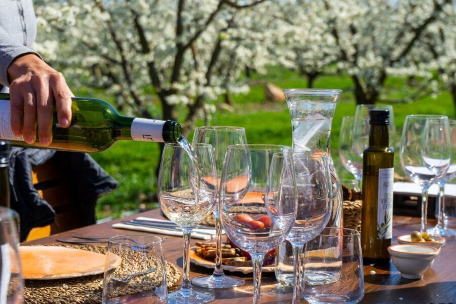 Mallorca: Full-Day Winery Small Group Tour - Good To Know