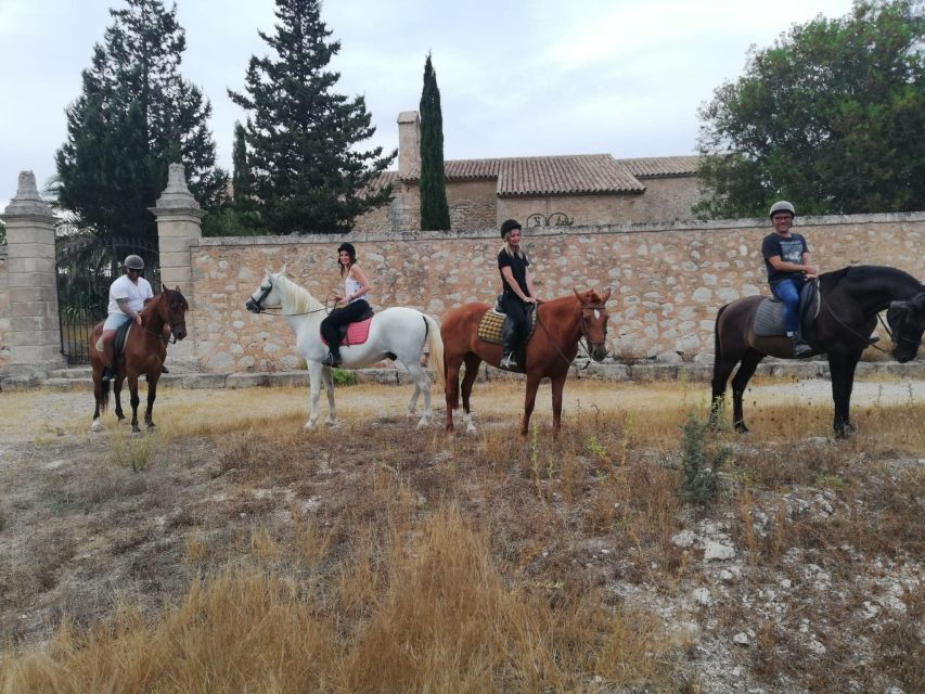 Mallorca: Guided Horseriding Tour of Randa Valley - Good To Know