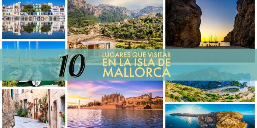 Mallorca Highlights Tour: Palma City, Tapas, Bazaar, Beach - Good To Know