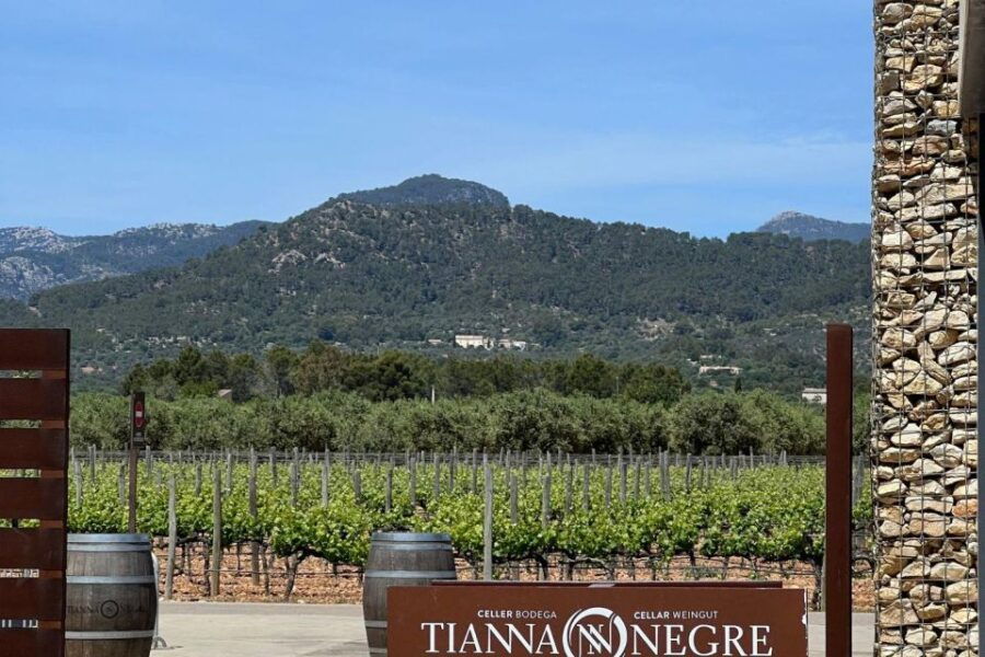 Mallorca: Instafamous Tour of Palma and West Coast - Good To Know