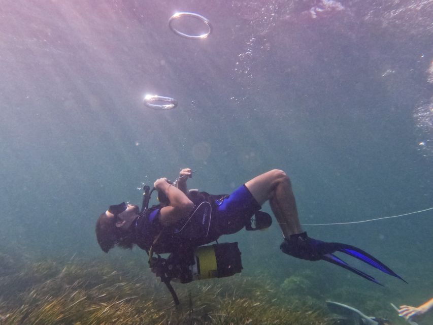 Mallorca: Private Beginner Scuba Dive With Instructor - Good To Know