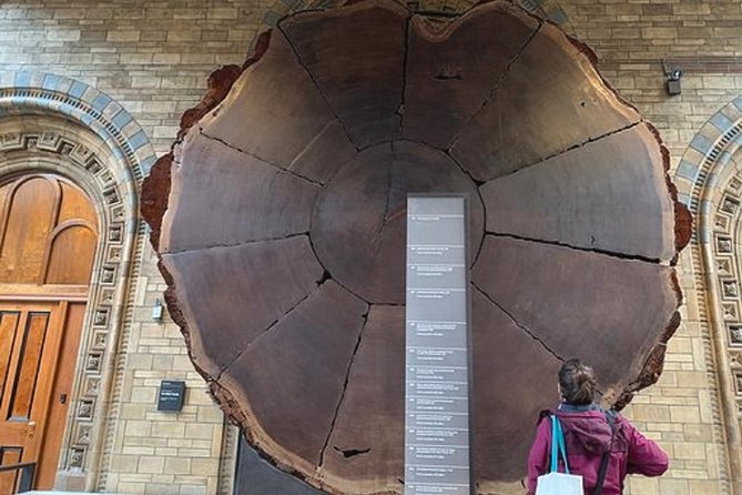 Mamma Mia! Discover the Dinosaurs at London Natural History Museum Tour for Kids - Good To Know