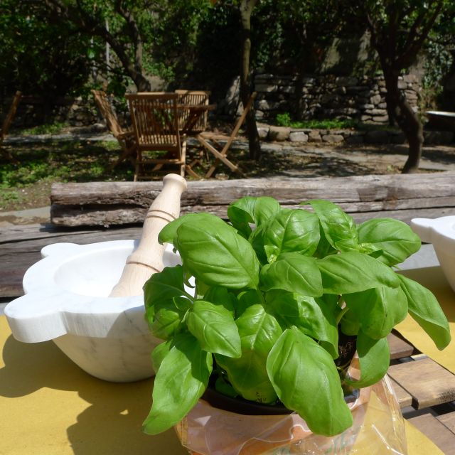 Manarola: Pesto Making Class With Tasting and Wine - Good To Know