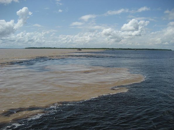 Manaus City Tour and Tour Meeting of the Waters by Speedboat