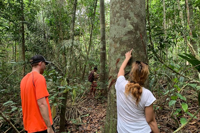 Manaus Small-Group Full-Day Jungle Tour