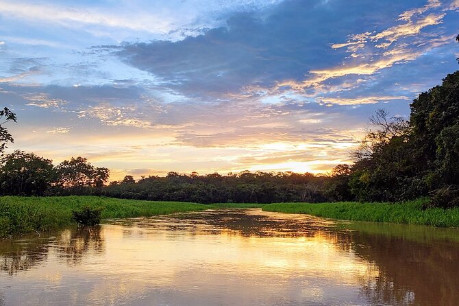 Manaus to Meeting of the Waters and Janauari Lake Cruise Tour (Feb )