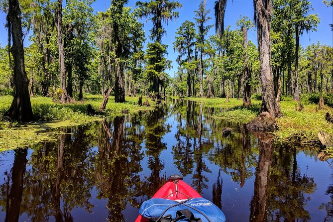 Manchac Swamp Kayak Tour - Extended - Good To Know