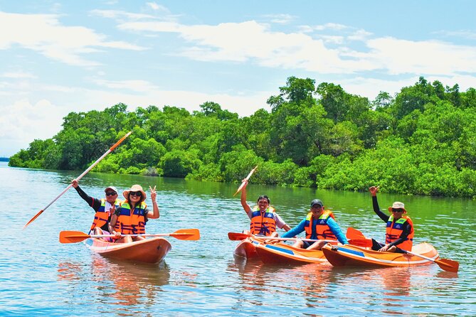 Mangrove Canoeing Package - Good To Know