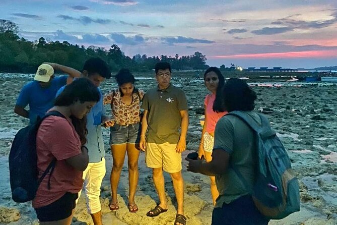 Mangrove & Coastline Trail Walk (Feb )