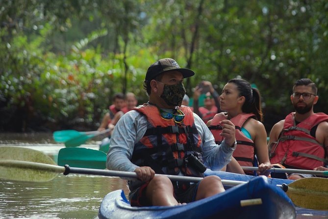 Mangrove Damas Island Kayak Tours - Good To Know