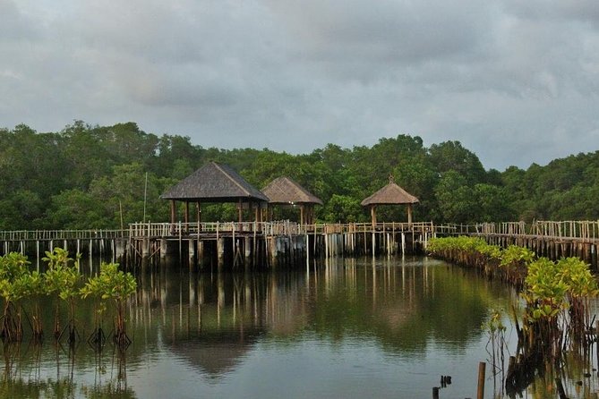 Mangrove Forest Bali Canoe Eco Tour - Tour Overview