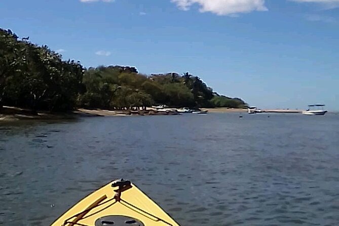 Mangrove Forest National Marine Park Kayak Tour