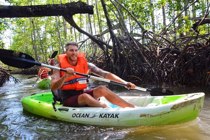 Mangrove Kayaking Adventure