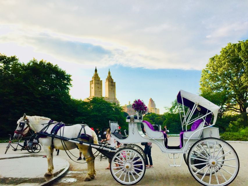 Manhattan: VIP Private Horse Carriage Ride in Central Park - Good To Know