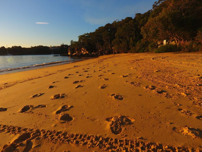 Manly: 4-Hour Double Kayak Hire for 2 People - Good To Know