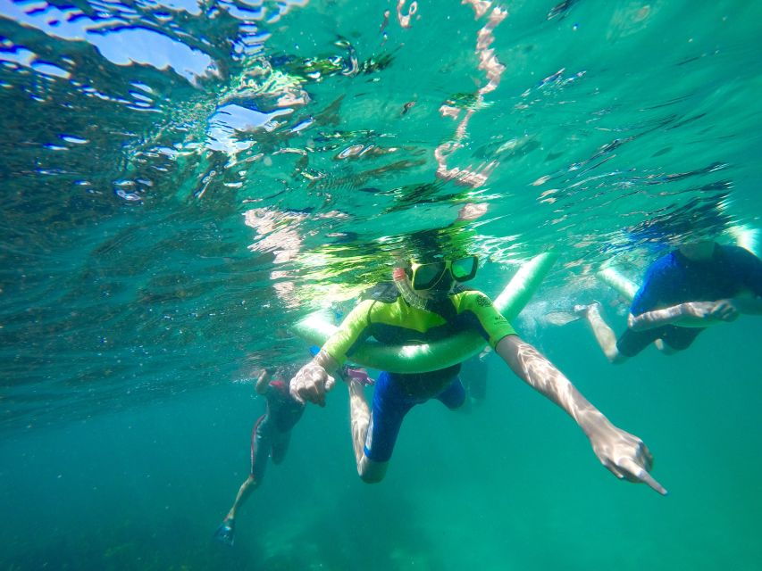 Manly and Shelly Beach Snorkeling Tour