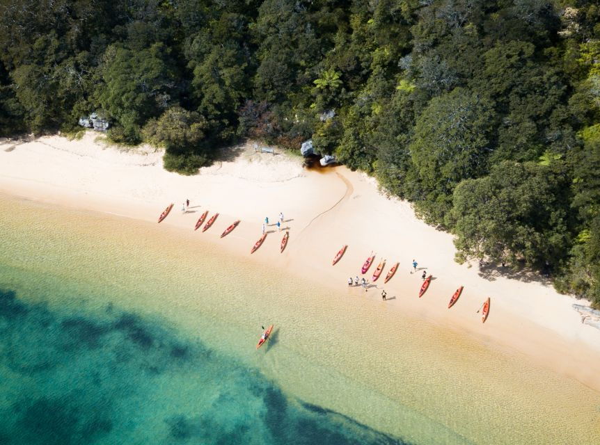 Manly: Mini Kayak Tour on Sydney's North Harbour - Good To Know