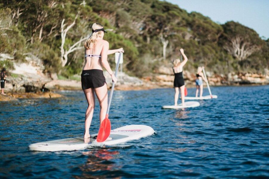 Manly Stand Up Paddle Board Hire - Good To Know