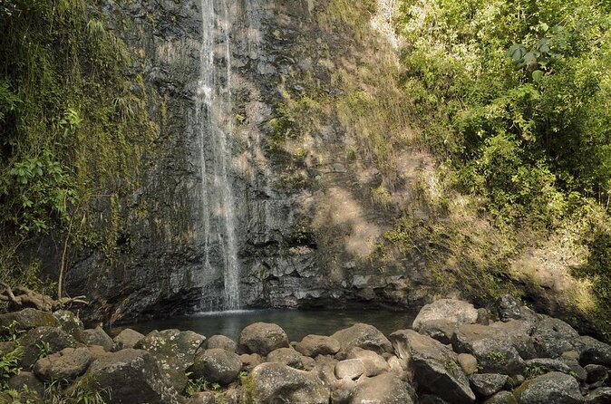 Manoa Falls-Electric Bike to Hike Experience Local Meal Included - Good To Know