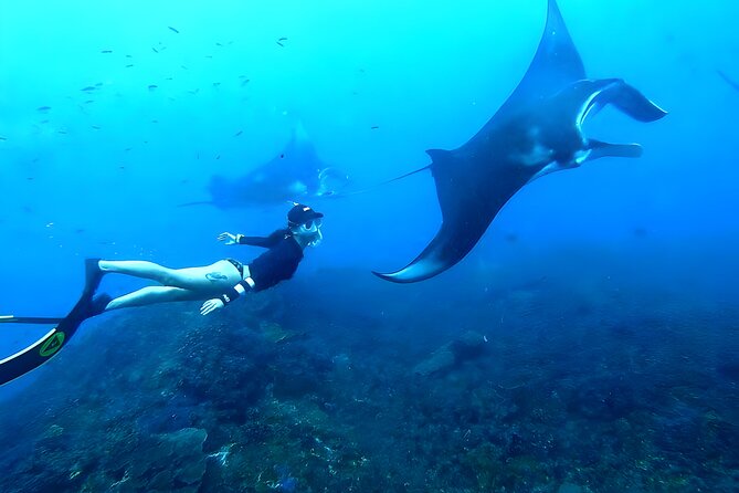 Manta Bay Snorkeling and Nusa Penida Island Tour - Good To Know