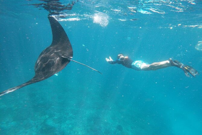 Manta Point Snorkeling Nusa Penida Tour All Inclusive