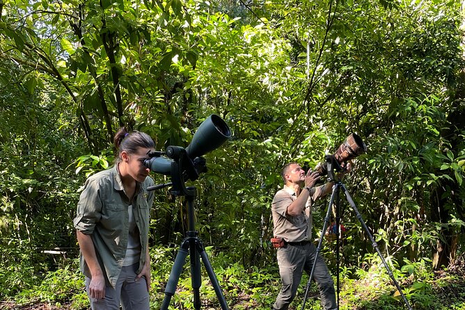 Manuel Antonio Birding Tour With Naturalist and Bird Expert (Feb )