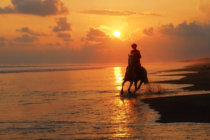 Manuel Antonio Horseback Riding Tour With Cowboy Guide - Jaco
