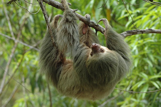 Manuel Antonio National Park Tour From Uvita