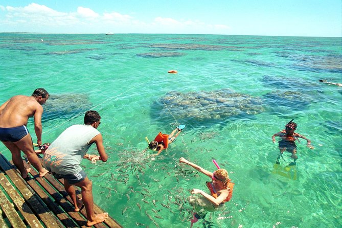 Maracajau From Natal