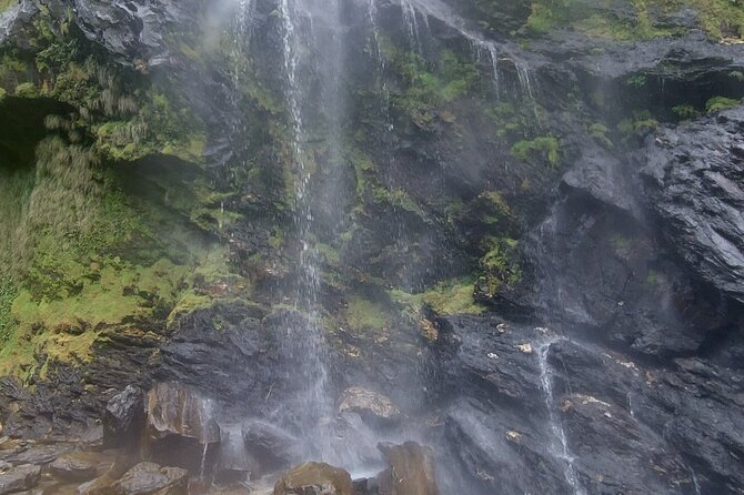 Maracas Waterfall Hike