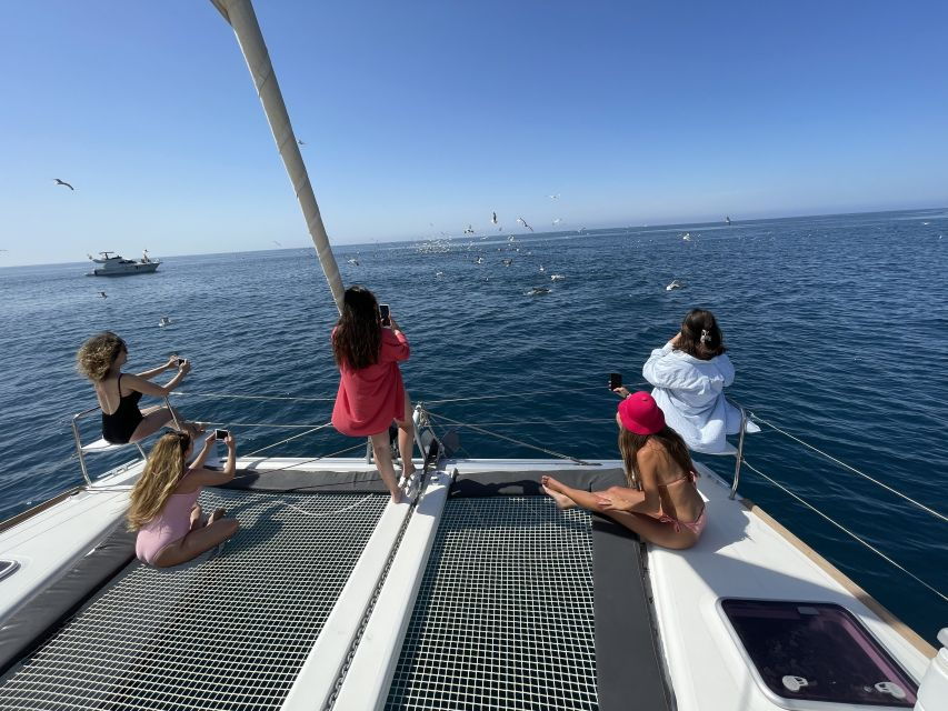 Marbella: Catamaran Tour With Dolphin Watching