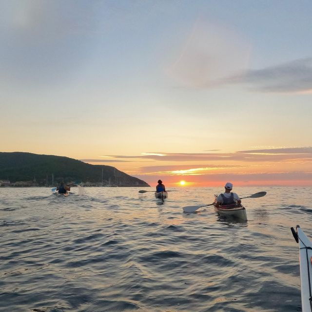 Marciana Marina: Evening Sea Kayaking Tour With Swim Stop - Good To Know
